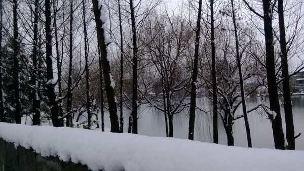 2月18日貴陽(yáng)下大雪了