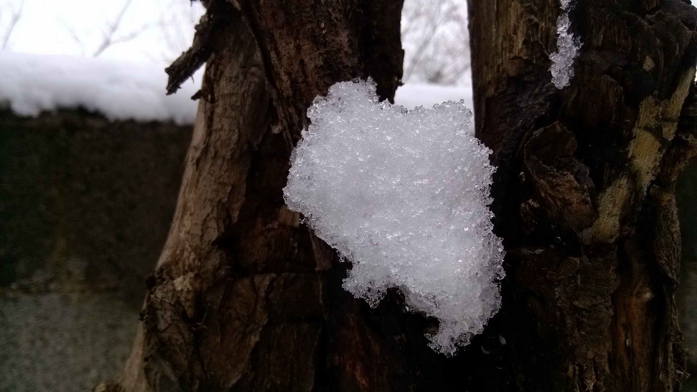 2月18日貴陽(yáng)下大雪了